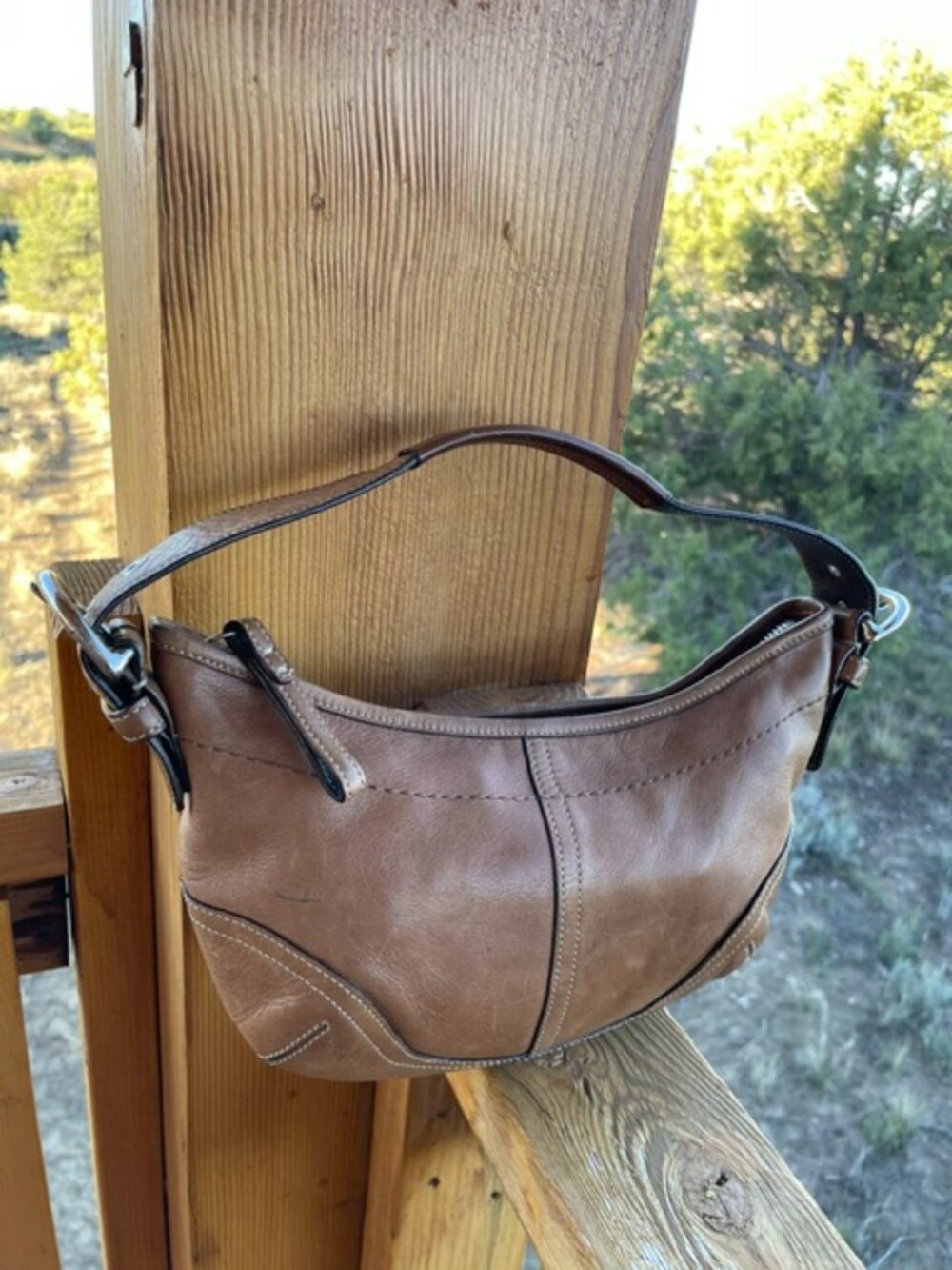 Coach Small Soho Hobo 9541